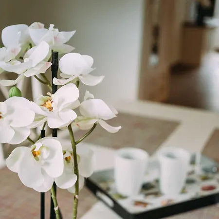 Worpsweder Schloesschen Worpswede