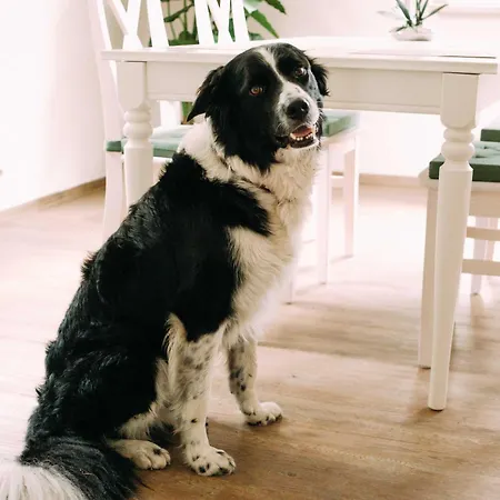 Διαμέρισμα Worpsweder Schloesschen