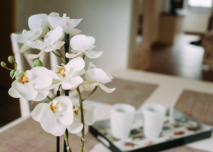 Worpsweder Schloesschen Worpswede